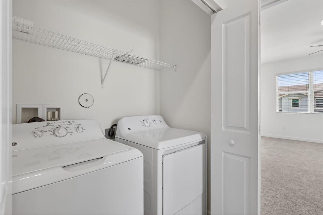 31-web-or-mls-5P1A1467