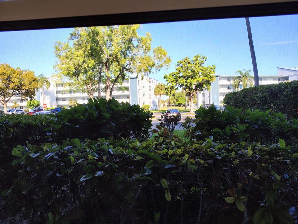 IMG_20260325_171300138_HDR~2