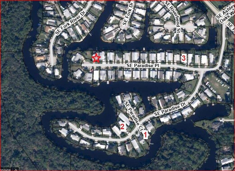 Tropical Paradise Aerial