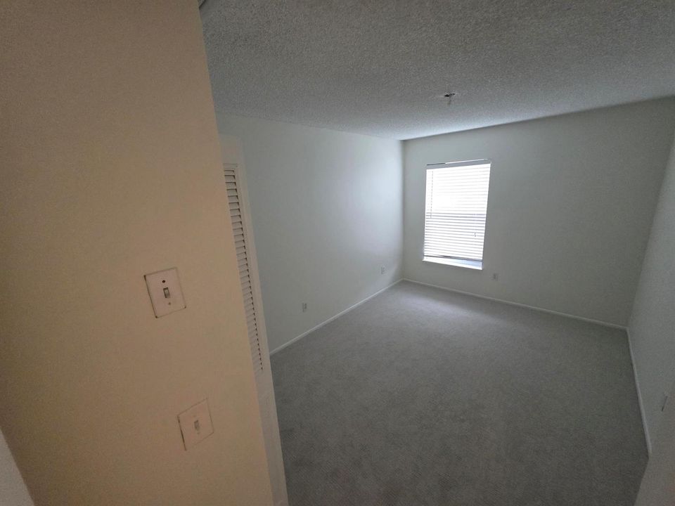 Guest Bed