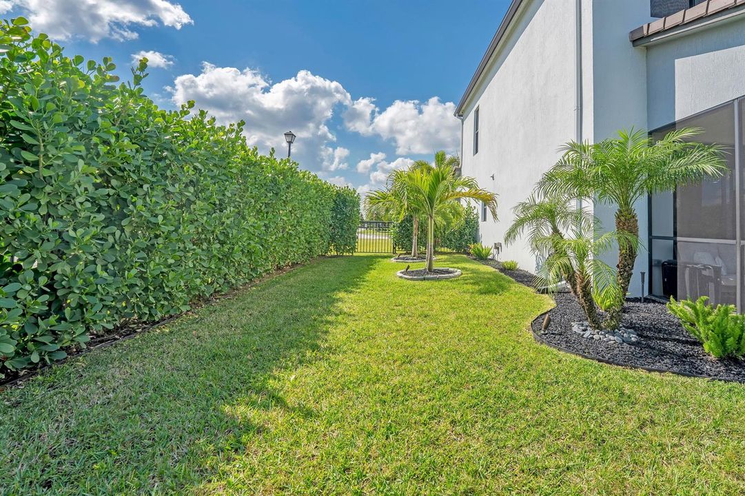 Side yard