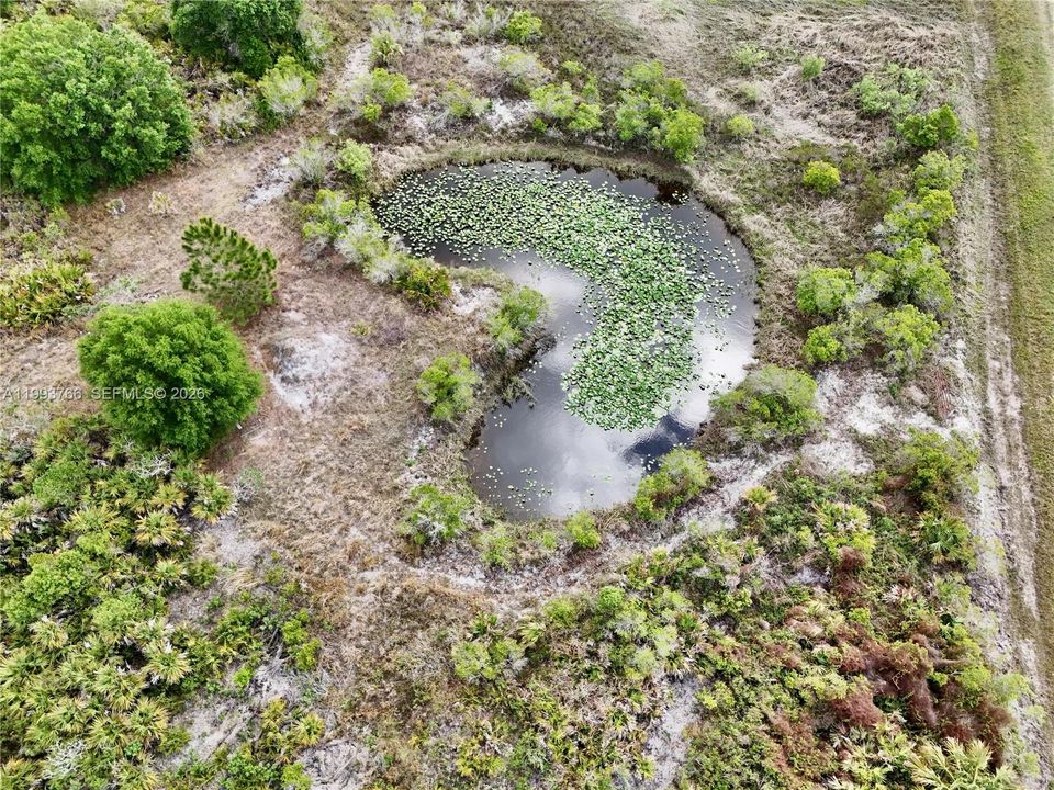 For Sale: $45,000 (1.25 acres)
