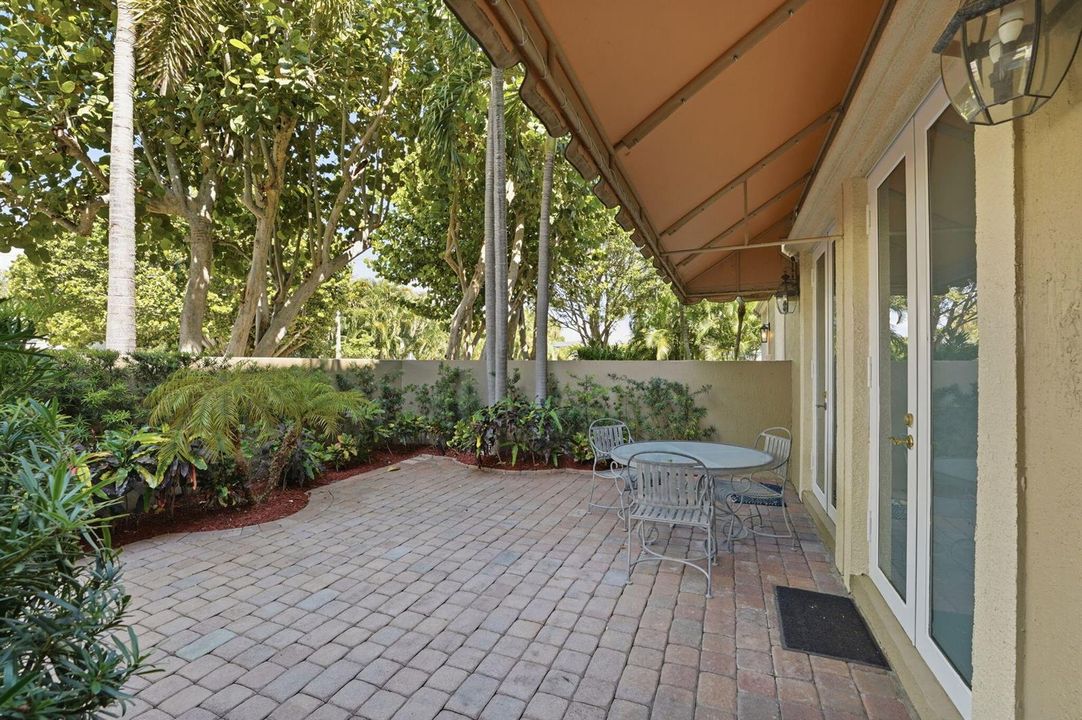 Backyard/ Patio