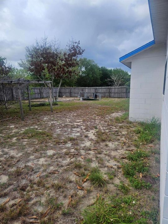 Backyard1768TorreyDr