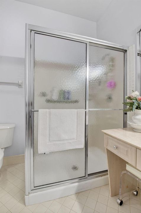 Master Bathroom Shower