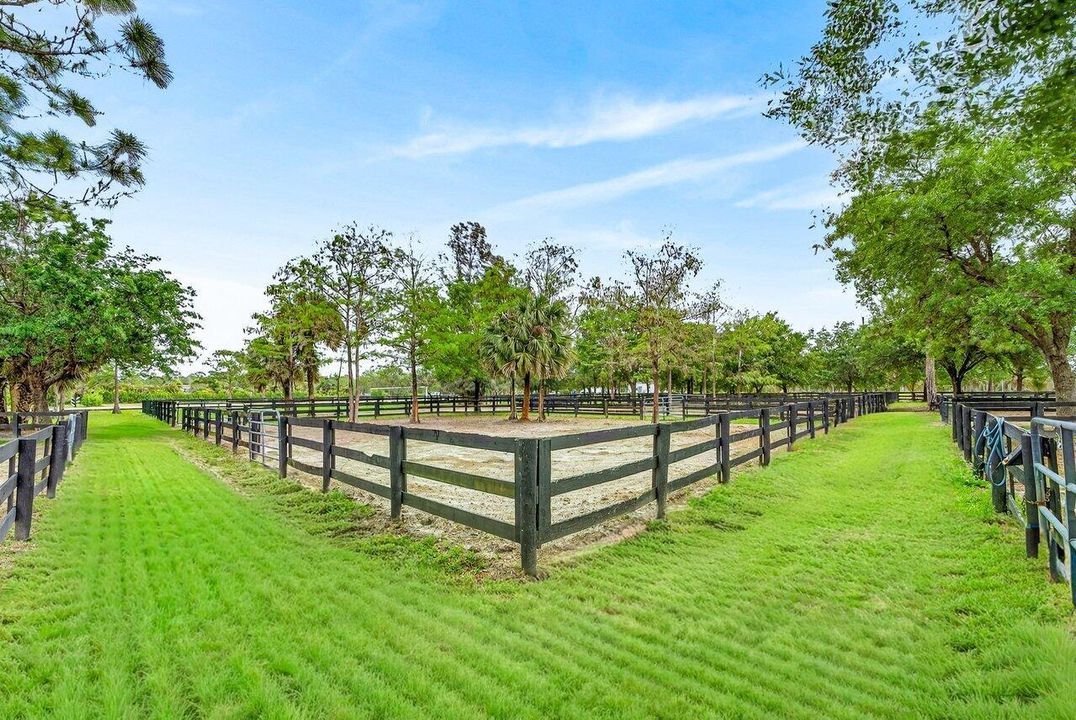 Paddocks