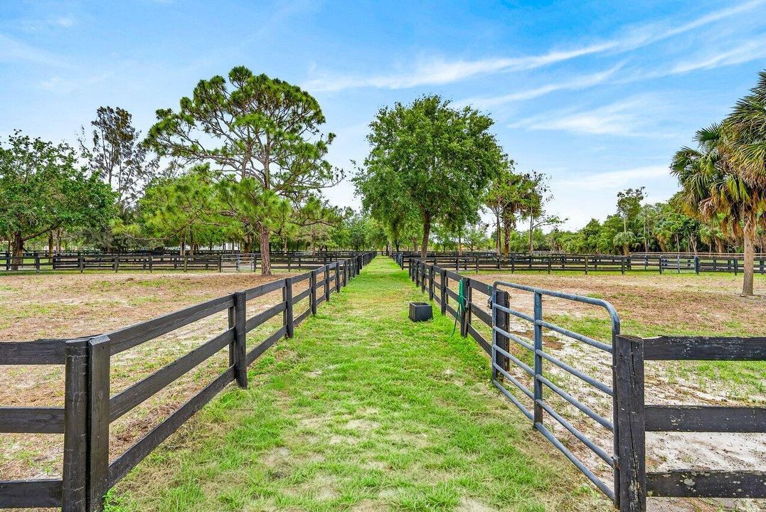 Paddocks