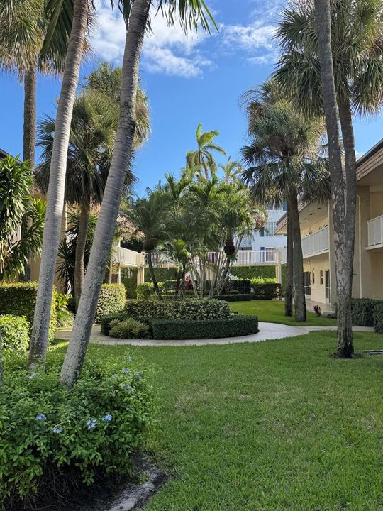 Beautiful Lush Courtyard