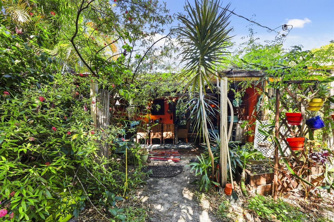 back yard 4