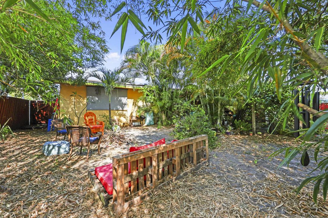 back yard 3