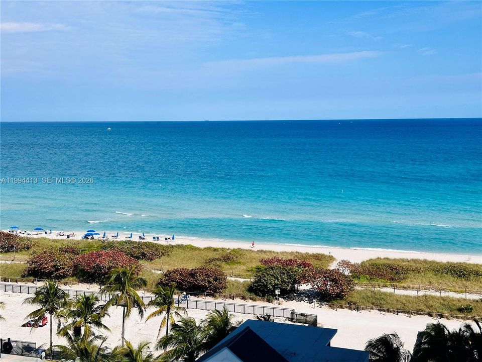 出租: $3,850 (2 贝兹, 2 浴室, 1195 平方英尺)