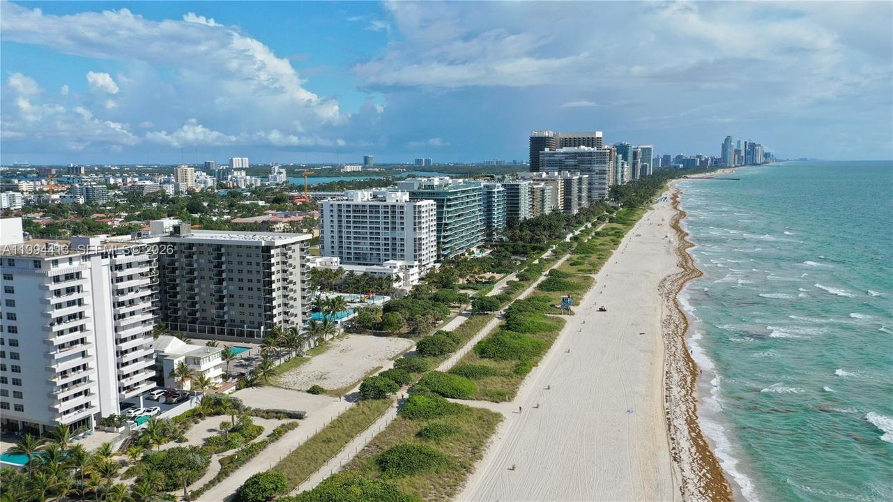 出租: $3,850 (2 贝兹, 2 浴室, 1195 平方英尺)