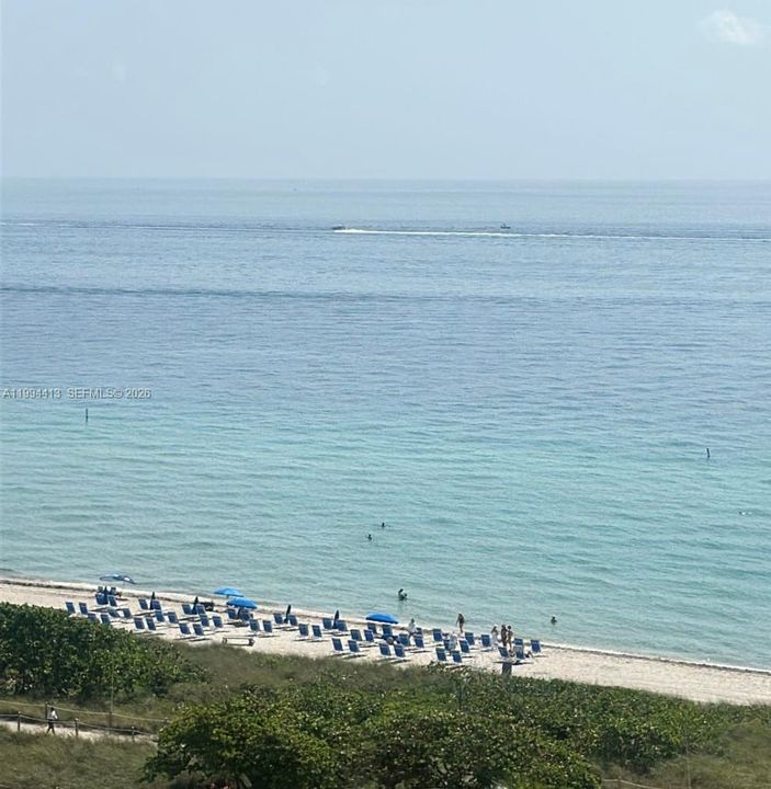 出租: $3,850 (2 贝兹, 2 浴室, 1195 平方英尺)