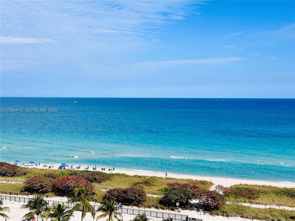 出租: $3,850 (2 贝兹, 2 浴室, 1195 平方英尺)