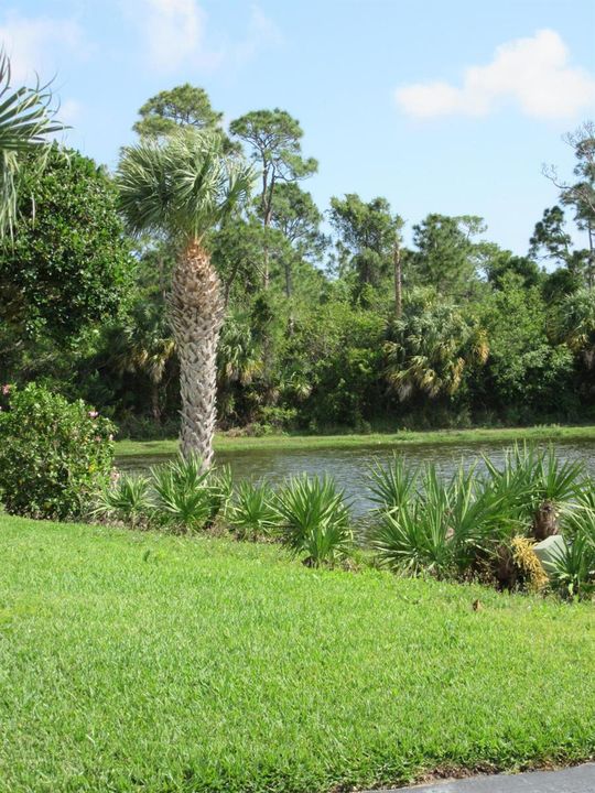 LAKE VIEW 2