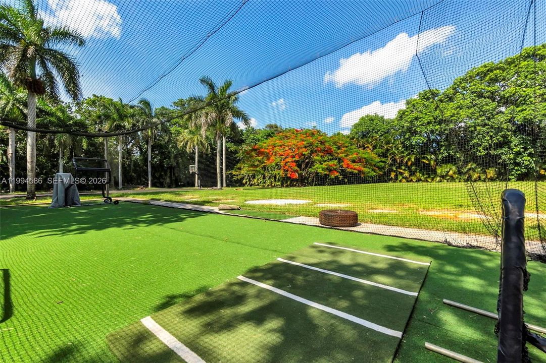 Full size MLB specs batting cage