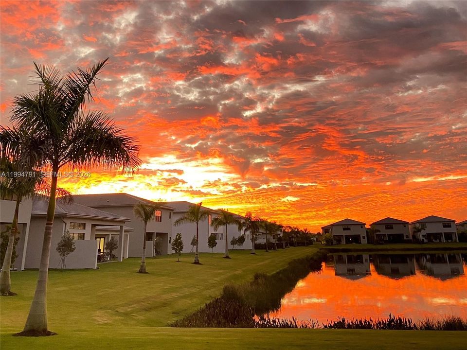 ACTUAL Sunset View