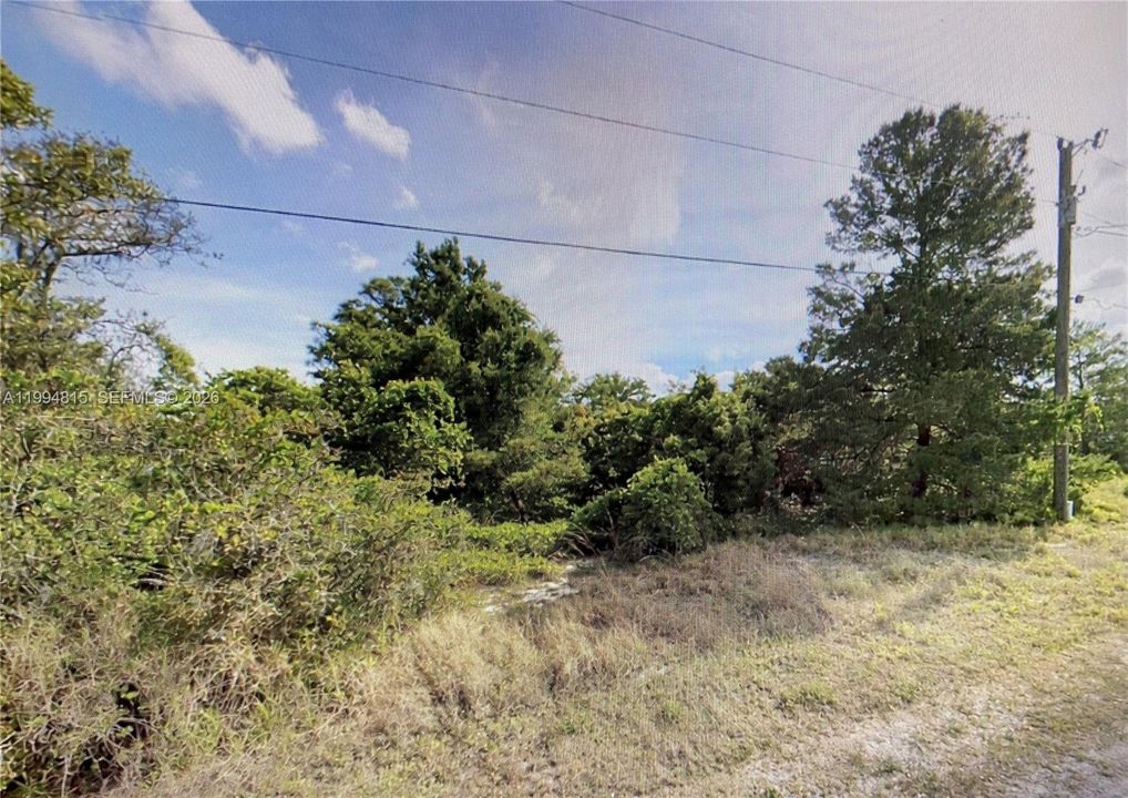 For Sale: $9,999 (0.29 acres)