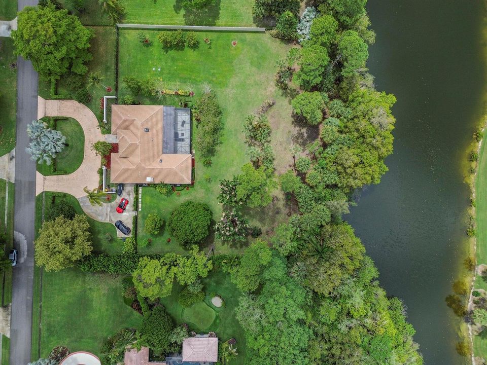 48 Aerial 06