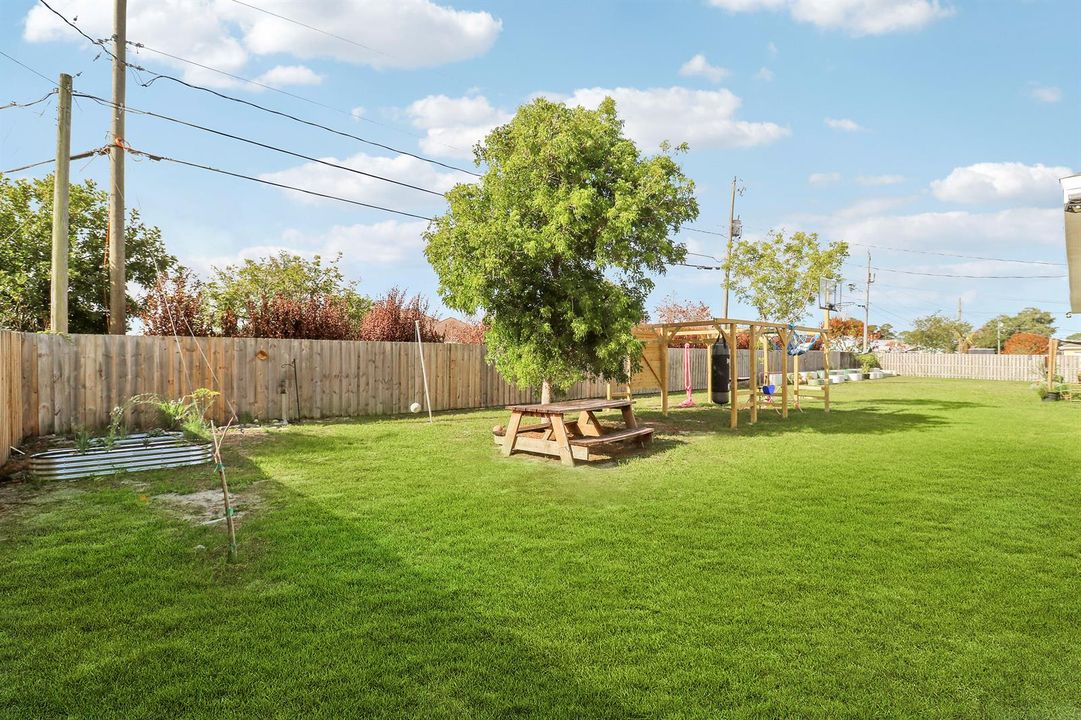 Backyard-4