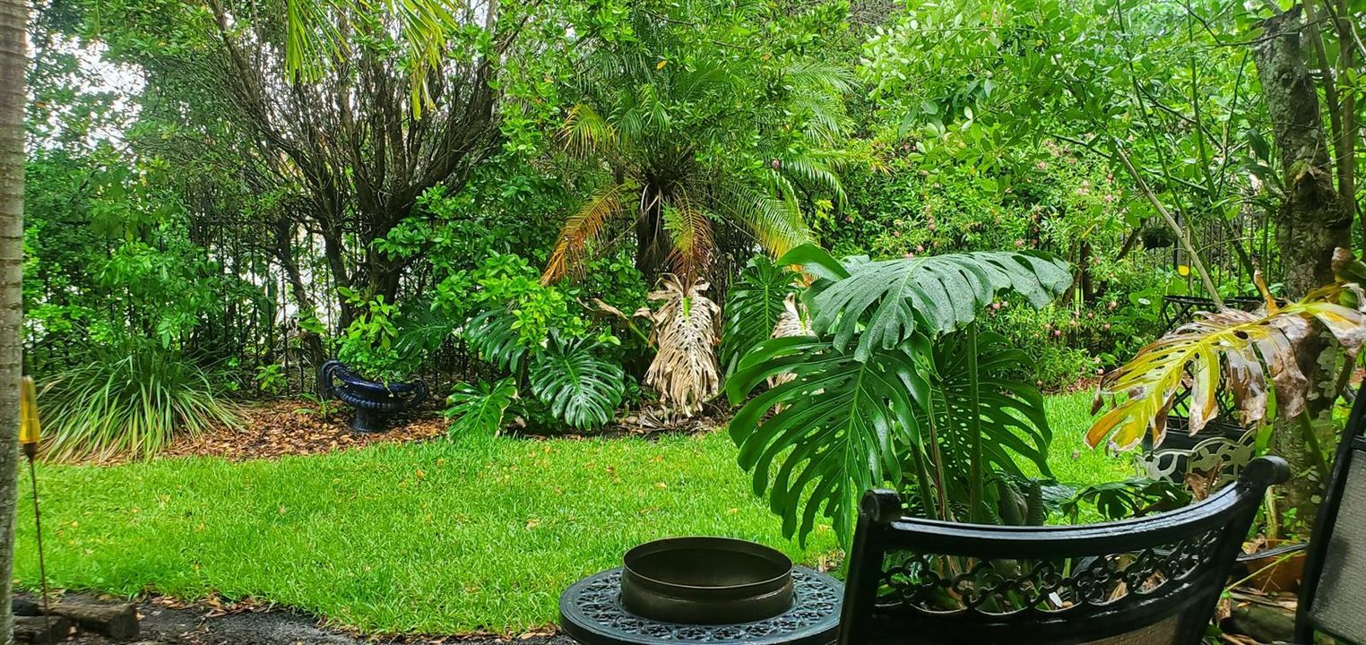 Backyard
