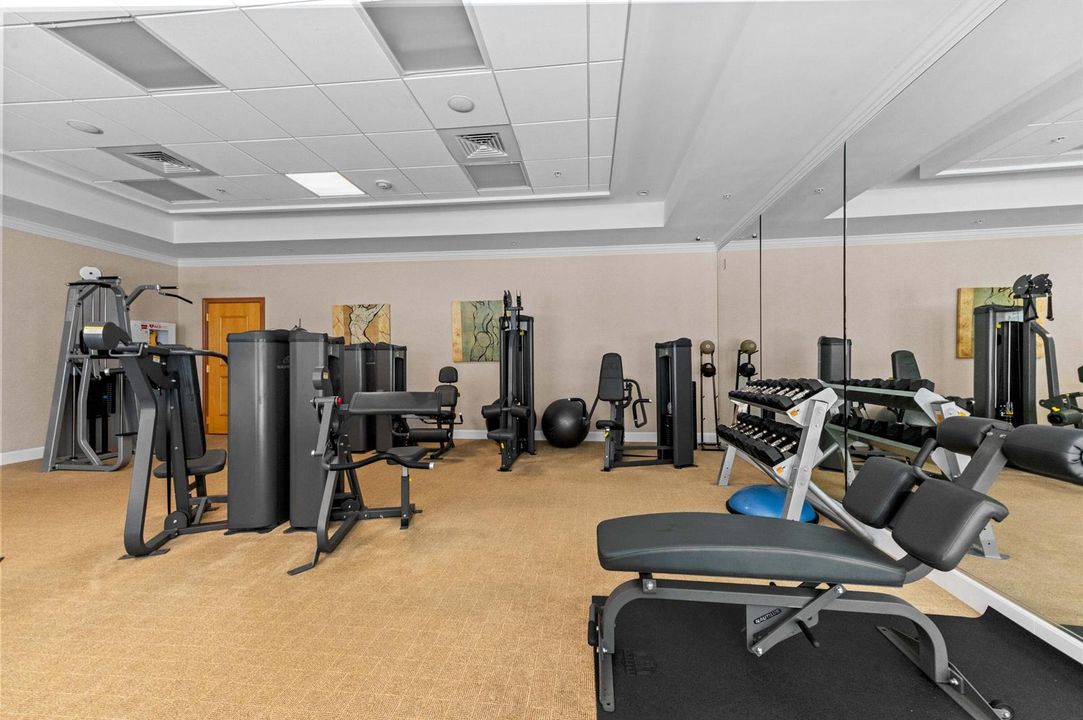 52 gym 02