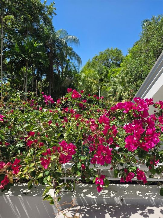 Active With Contract: $10,000 (4 beds, 4 baths, 2315 Square Feet)