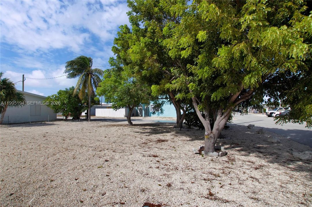 En Venta: $146,000 (0.06 acres)