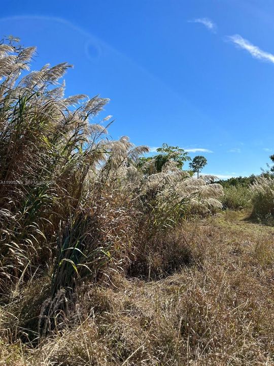 En Venta: $228,000 (0.18 acres)