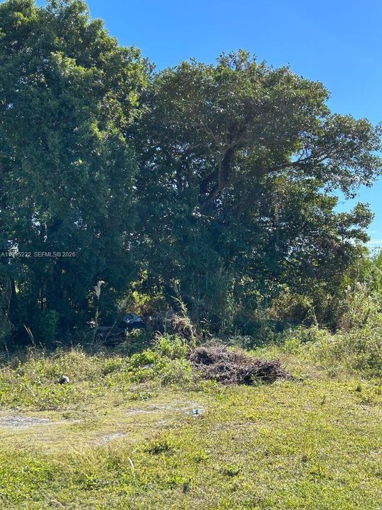 En Venta: $239,000 (0.26 acres)