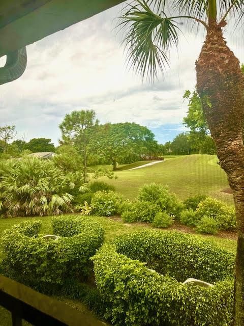 View from Balcony