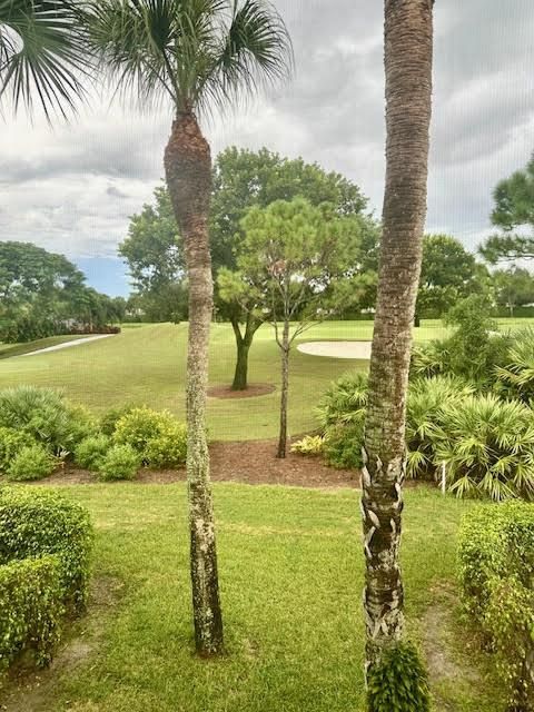 View from Balcony