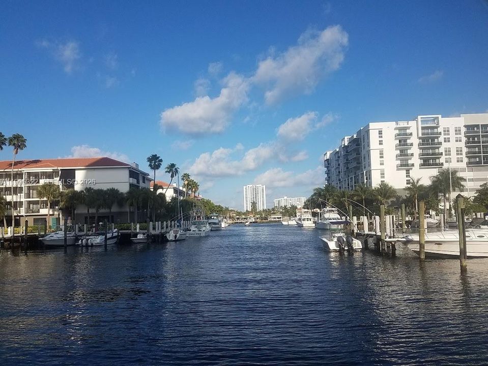 MARINA AREA