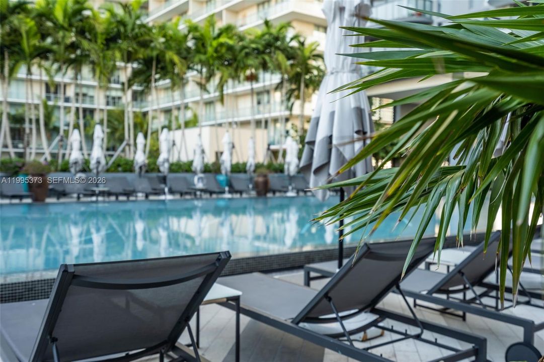 出租: $3,900 (1 贝兹, 1 浴室, 673 平方英尺)