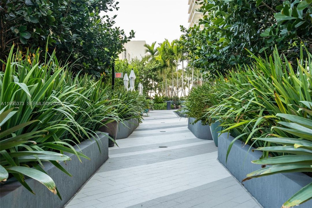 出租: $3,900 (1 贝兹, 1 浴室, 673 平方英尺)