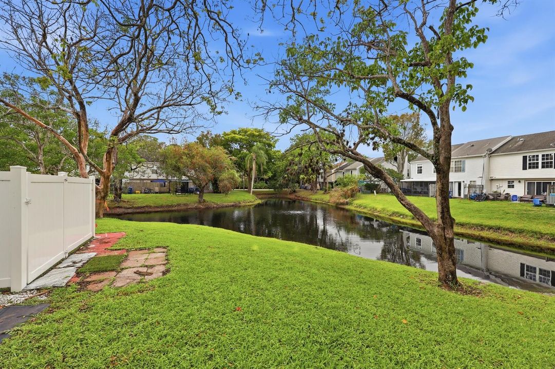 Pond