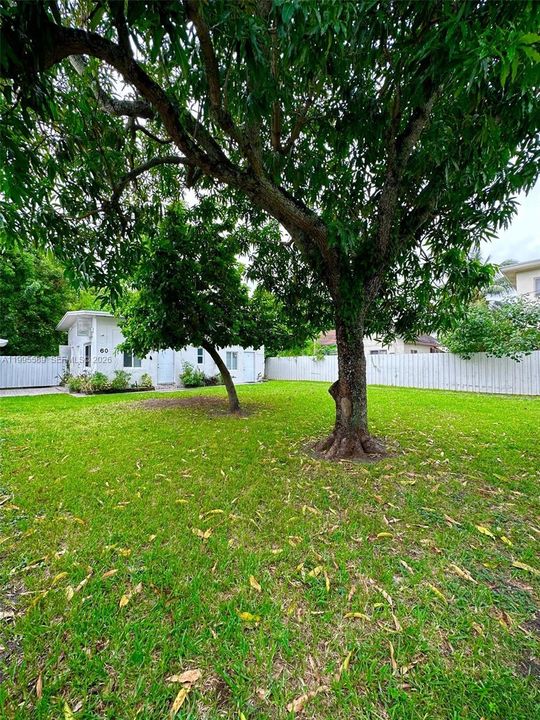 En Renta: $2,200 (2 camas, 1 baños, 800 Pies cuadrados)