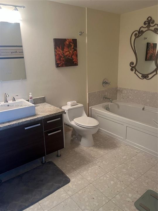 Master bathroom with bathtub and extra shower