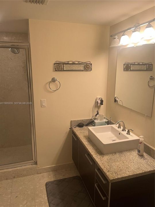 Master bathroom 's shower