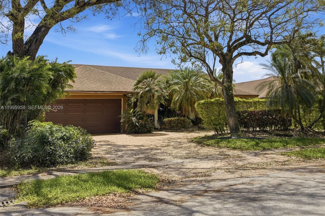 Shady Trees & Palms at Front of Home