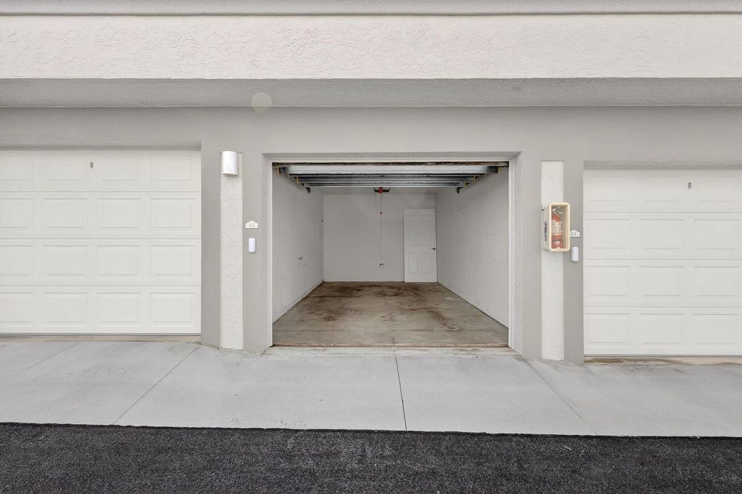 77-web-or-mls-5P1A4572