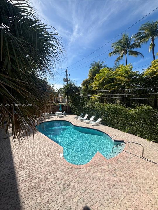 Pool - Common Area