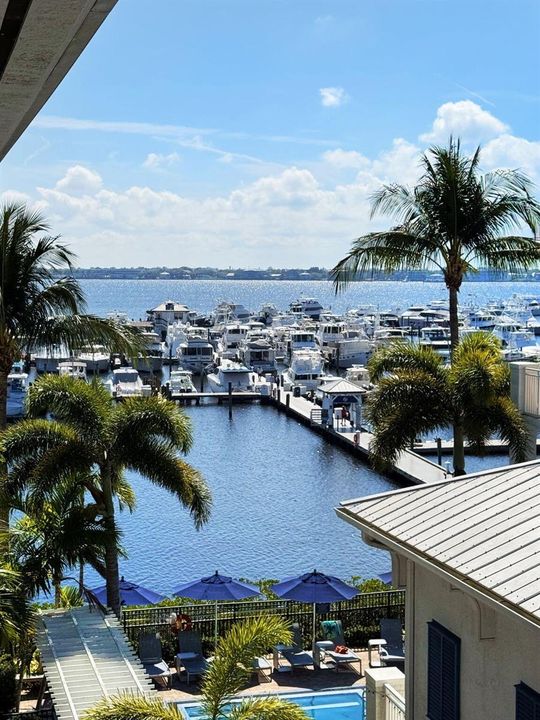 Balcony View