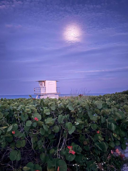 Moon over Hobe Sound Beach