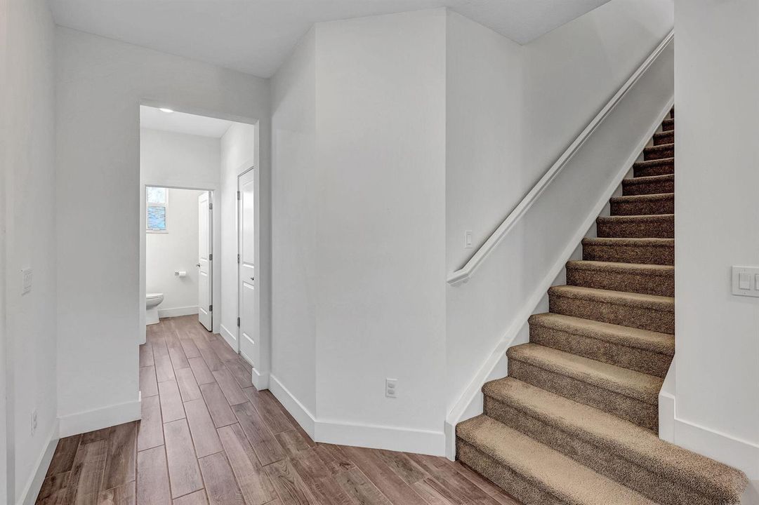 51-web-or-mls-5P1A9433
