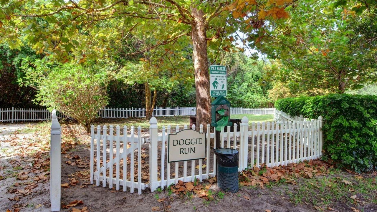 Dog Park