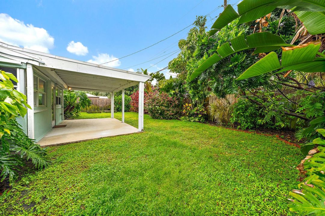 Backyard