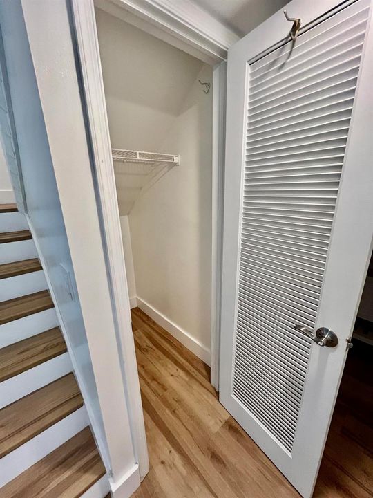 Downstairs Storage Closet