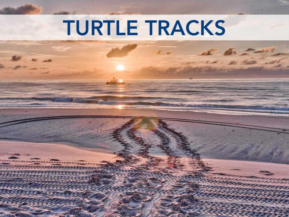 turtletracks