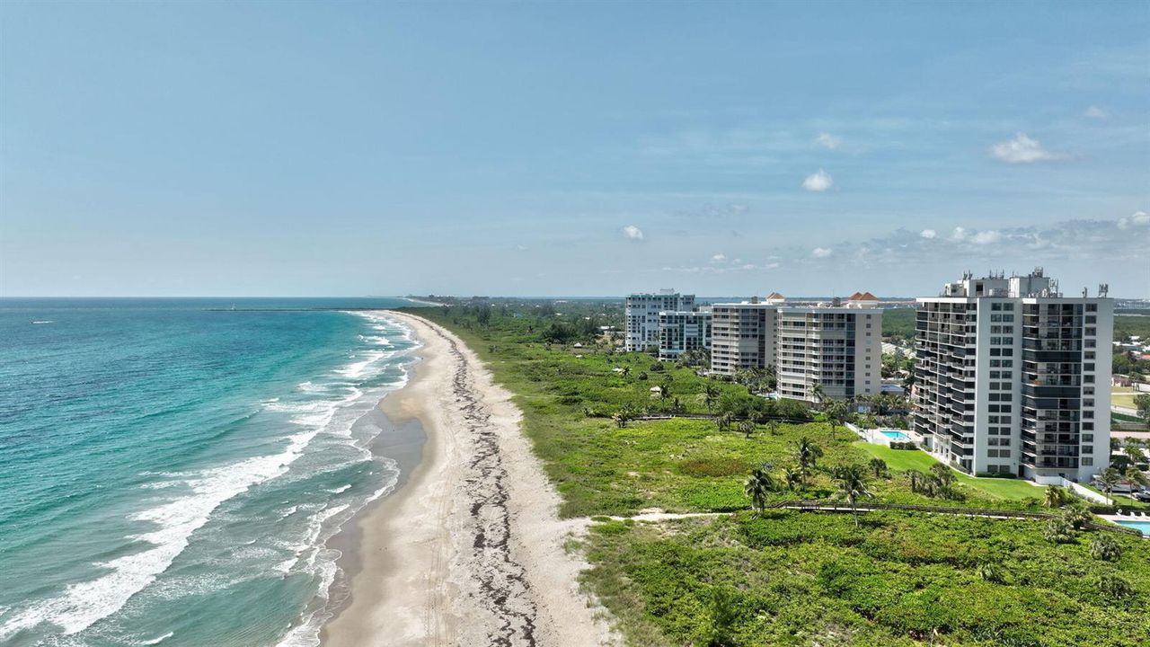 SOTO Aerial 2
